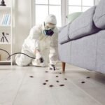 Cockroach Control