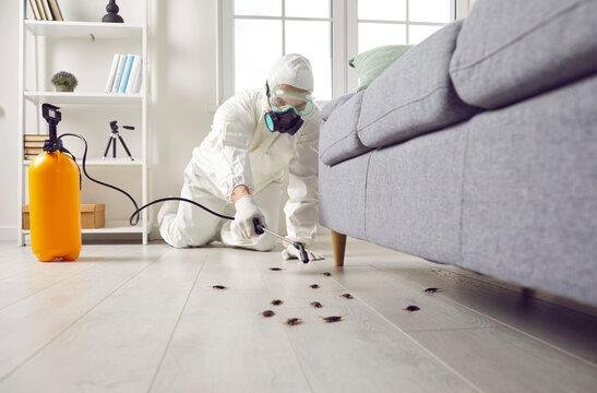 Cockroach Control