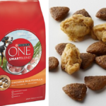 purina one dog food