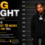DDG Height
